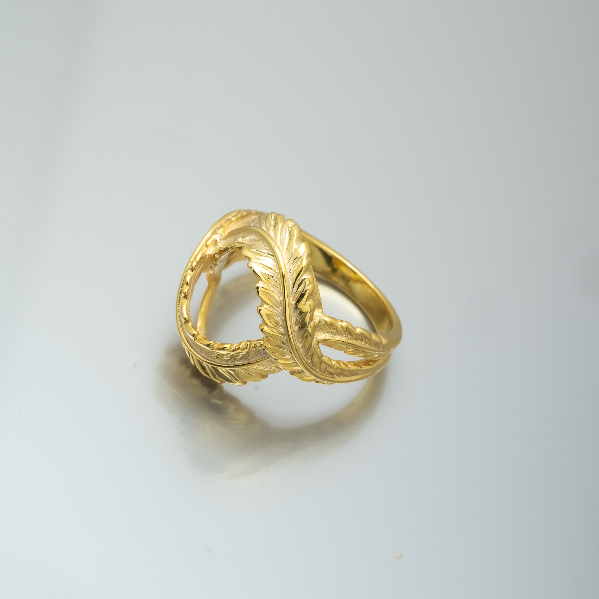 Feather Embrace Χρυσό Δαχτυλίδι Ασήμι 925 με Σχέδιο Φύλλων – Elegant Luxury 5,4g